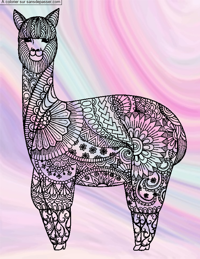 Coloriage Lama - Mandala par un invit&eacute;