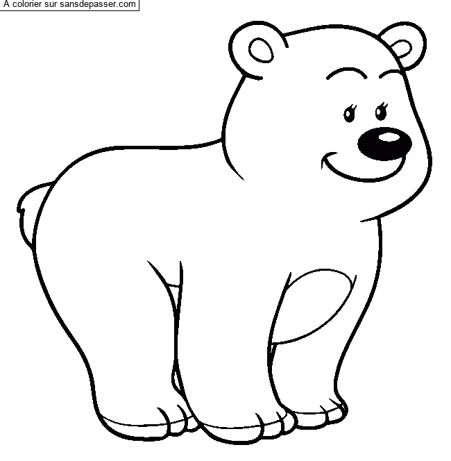 Ours brun ou ours polaire par un invit&eacute;
