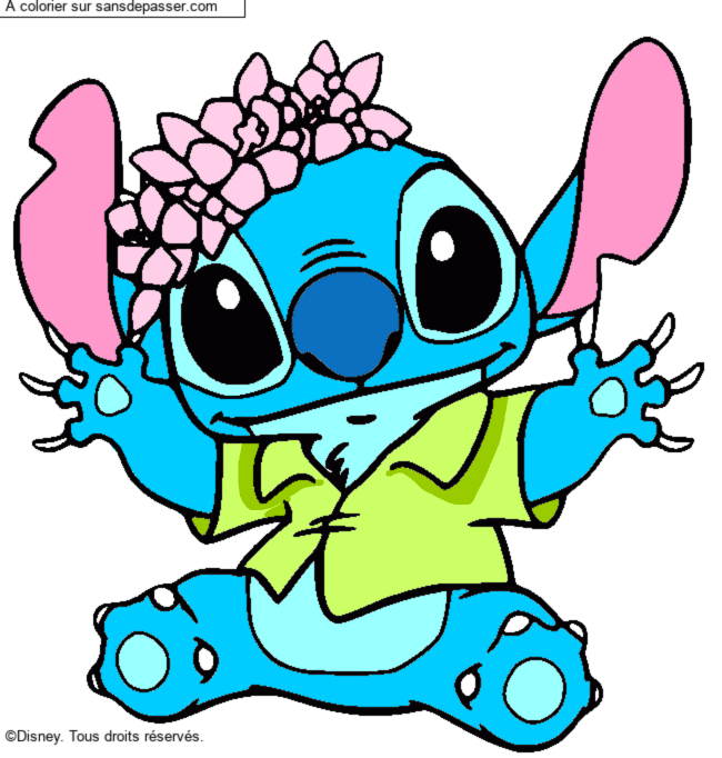 Stitch et sa couronne de fleurs par un invit&eacute;