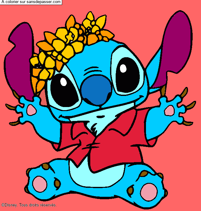 Stitch et sa couronne de fleurs par un invit&eacute;