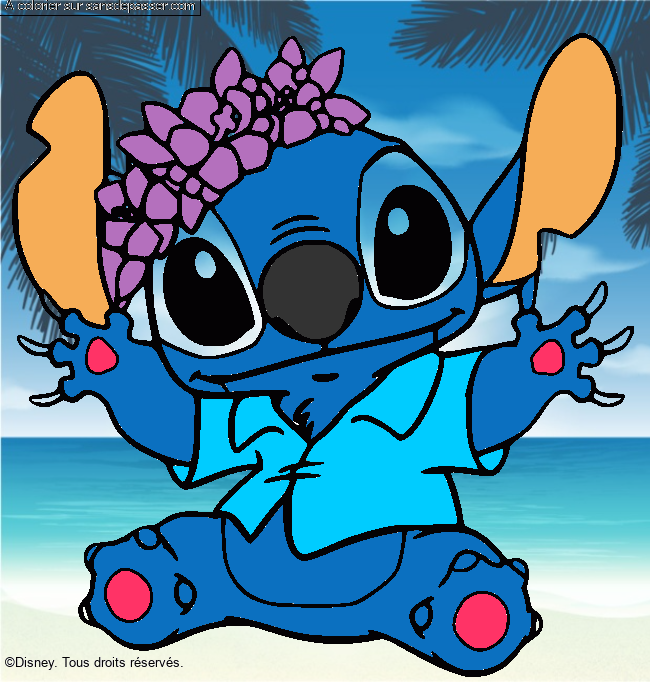 Stitch et sa couronne de fleurs par un invit&eacute;