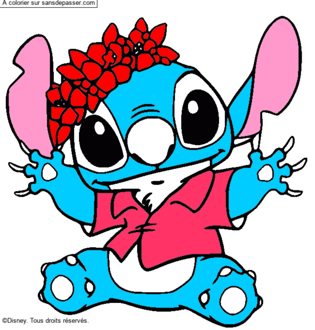 Stitch et sa couronne de fleurs par un invit&eacute;
