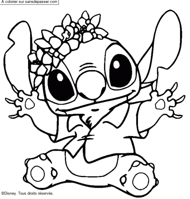 Stitch et sa couronne de fleurs par un invit&eacute;
