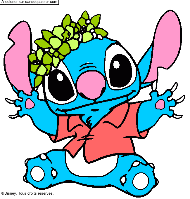Stitch et sa couronne de fleurs par un invit&eacute;