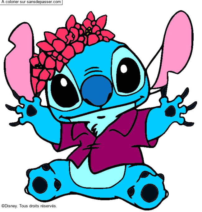 Stitch et sa couronne de fleurs par un invit&eacute;