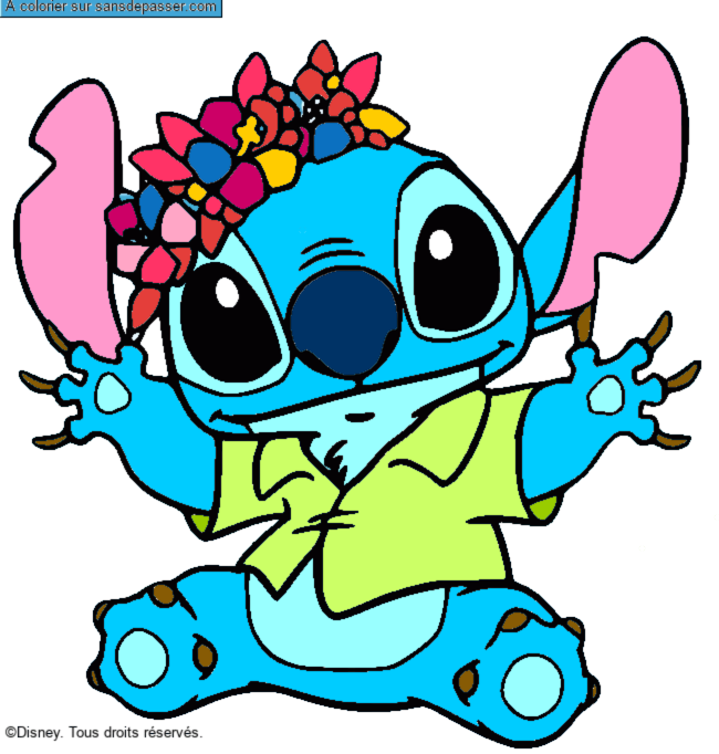 Stitch et sa couronne de fleurs par un invit&eacute;