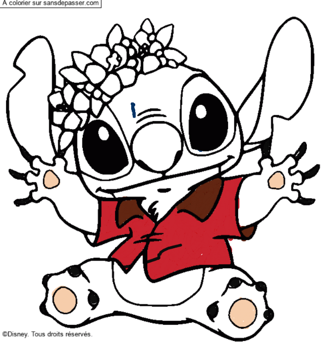 Stitch et sa couronne de fleurs par un invit&eacute;