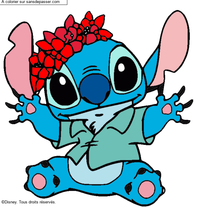 Stitch et sa couronne de fleurs par un invit&eacute;