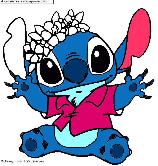 Stitch et sa couronne de fleurs par un invit&eacute;