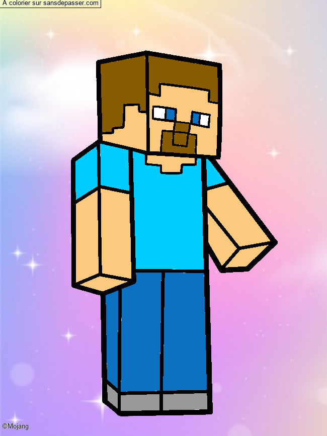 Steve Minecraft par un invit&eacute;