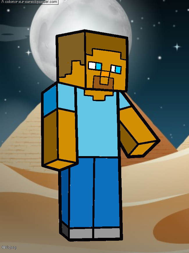 Steve Minecraft par un invit&eacute;