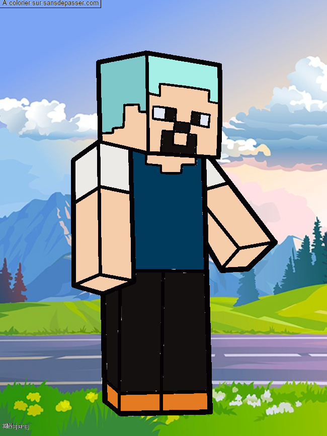 Steve Minecraft par un invit&eacute;