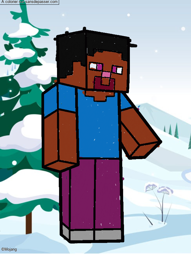 Steve Minecraft par un invit&eacute;