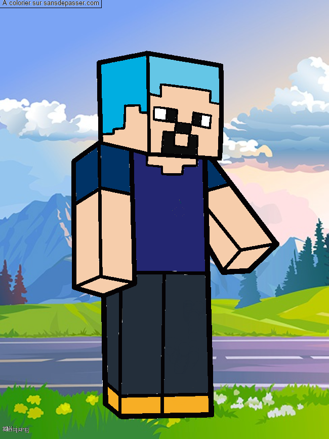 Steve Minecraft par un invit&eacute;