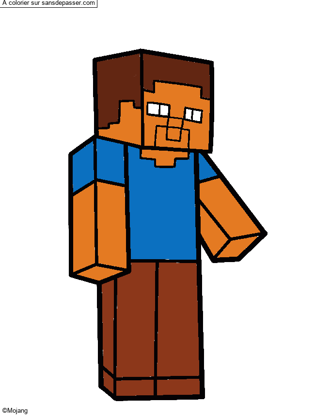 Steve Minecraft par un invit&eacute;