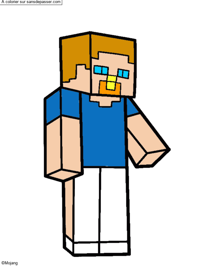 Steve Minecraft par un invit&eacute;