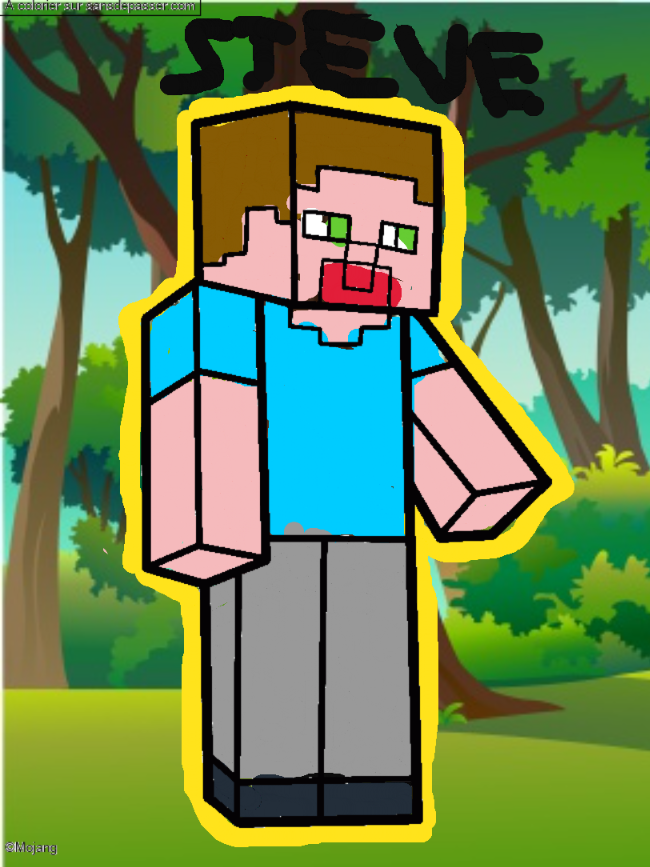 Steve Minecraft par starwars