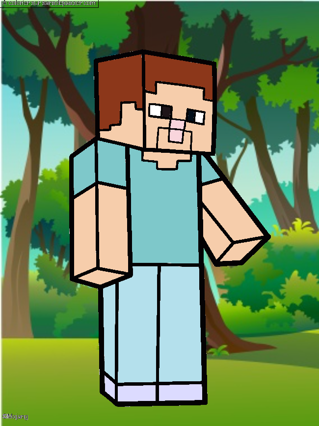 Steve Minecraft par un invit&eacute;