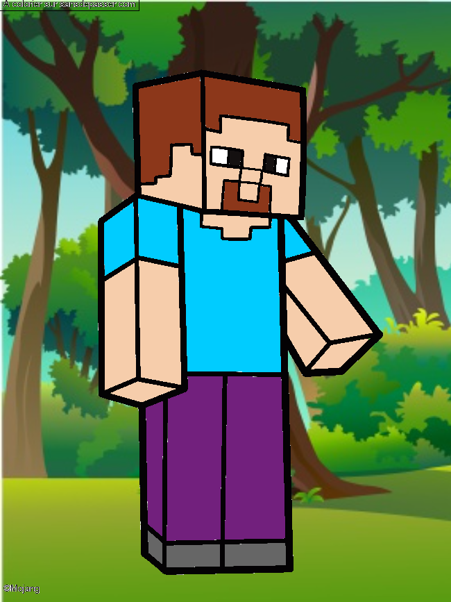 Steve Minecraft par un invit&eacute;