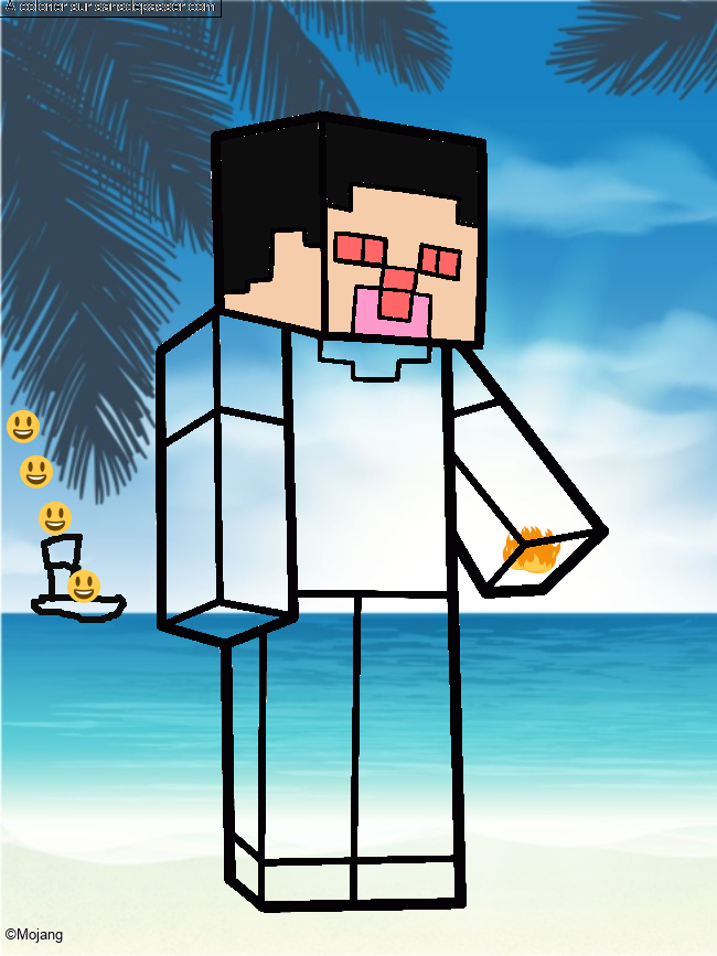 Steve Minecraft par un invit&eacute;