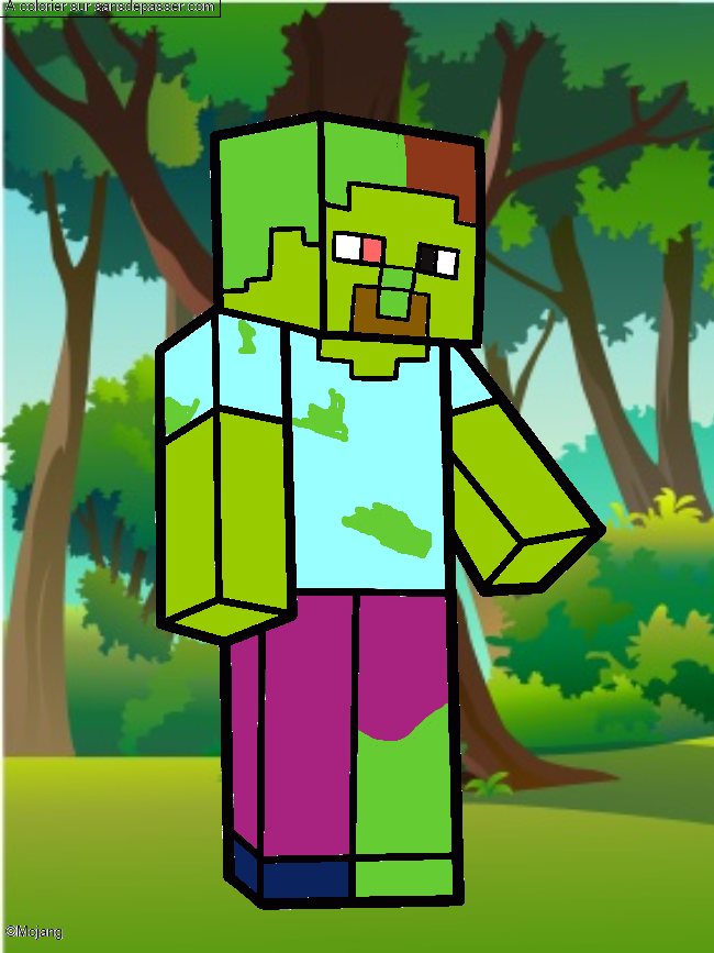 Steve Minecraft par un invit&eacute;