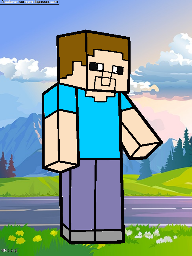 Steve Minecraft par un invit&eacute;