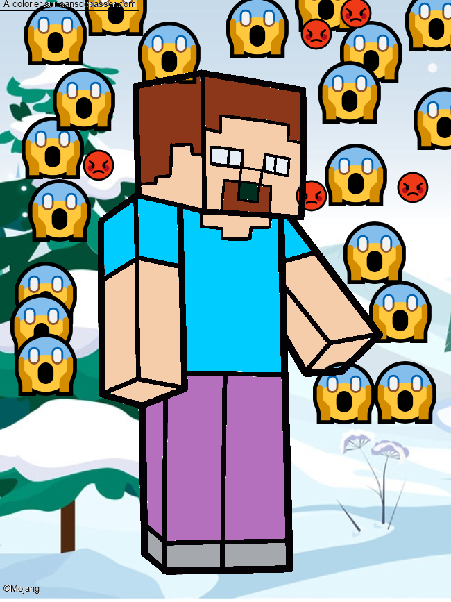 Steve Minecraft par un invit&eacute;