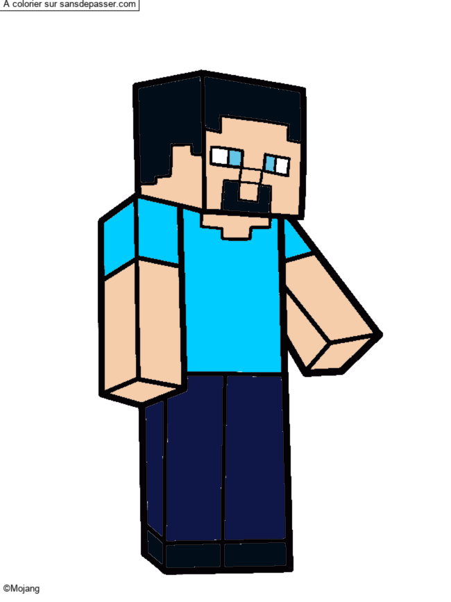 Steve Minecraft par un invit&eacute;