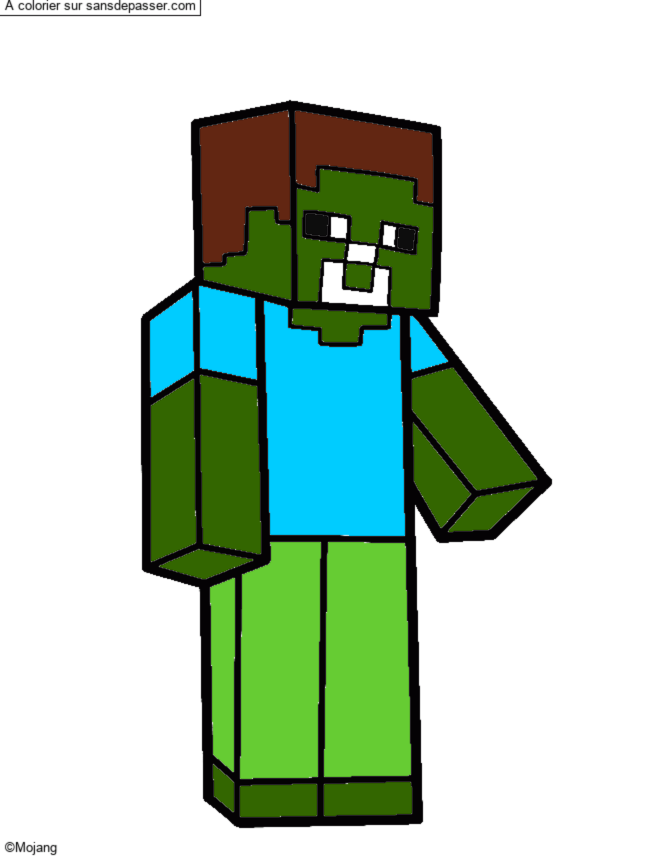 Steve Minecraft par un invit&eacute;