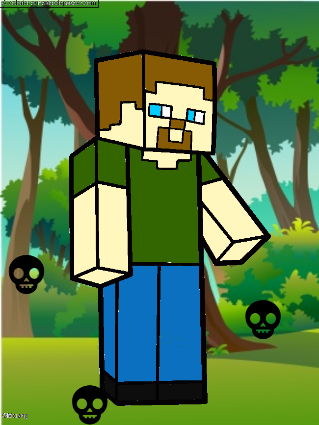 Steve Minecraft par un invit&eacute;
