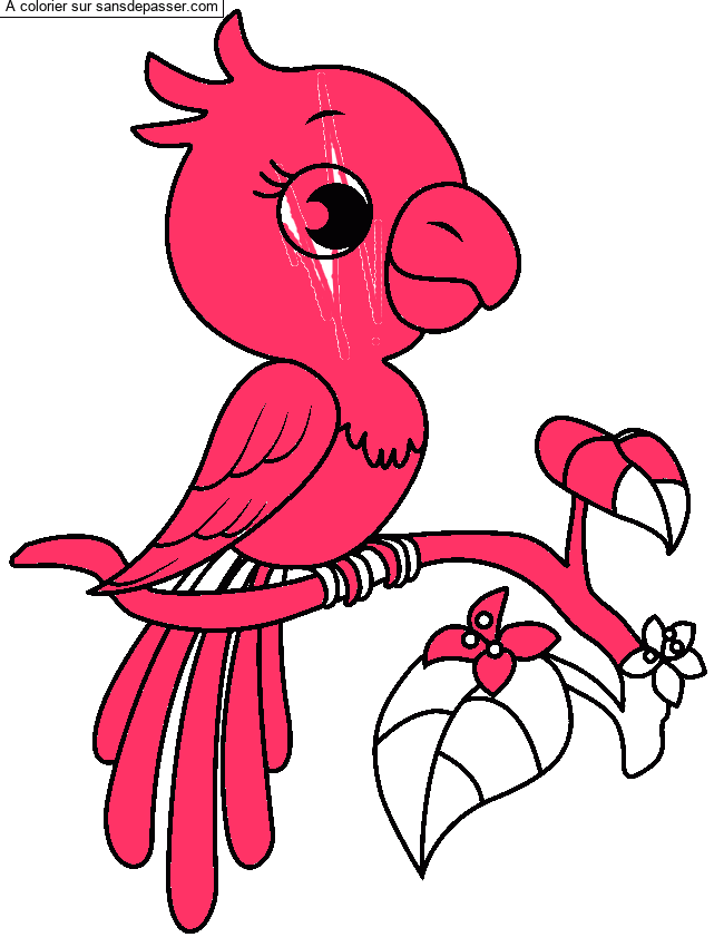 Coloriage Joli Perroquet &agrave; imprimer