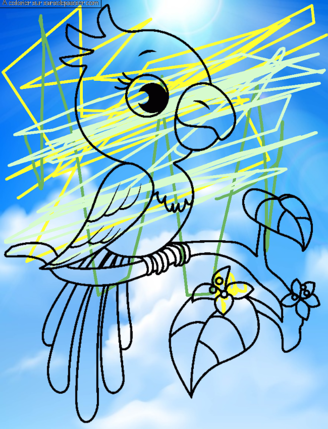 Coloriage Joli Perroquet &agrave; imprimer par un invit&eacute;