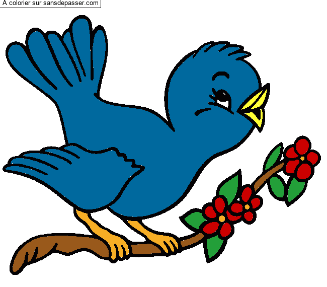 Petit oiseau qui chante par un invit&eacute;