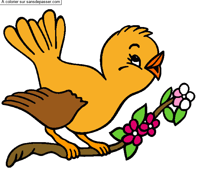 Petit oiseau qui chante par un invit&eacute;