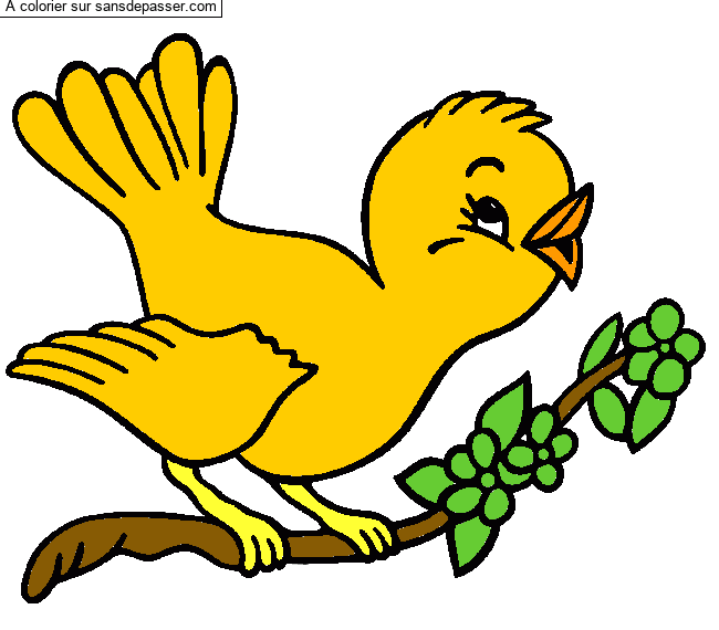 Petit oiseau qui chante par un invit&eacute;