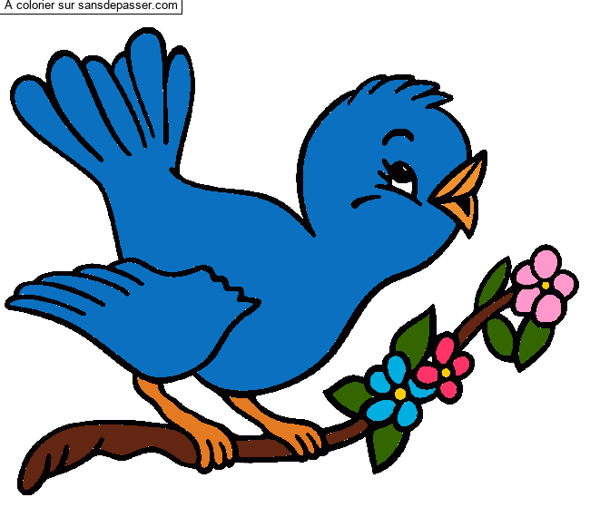 Coloriage Petit oiseau qui chante