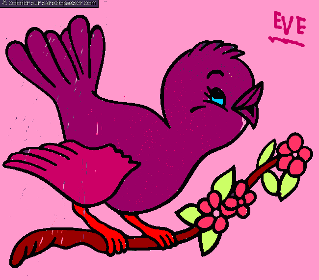 Coloriage Petit oiseau qui chante par un invité