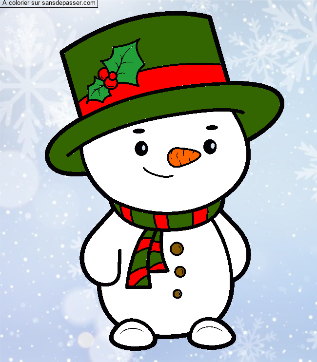 Bonhomme de neige par un invit&eacute;