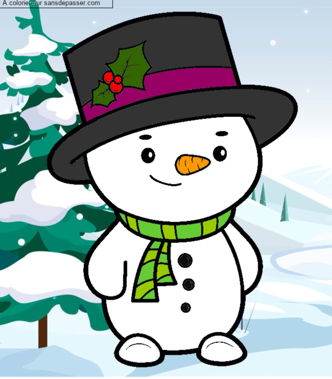 Bonhomme de neige par un invit&eacute;