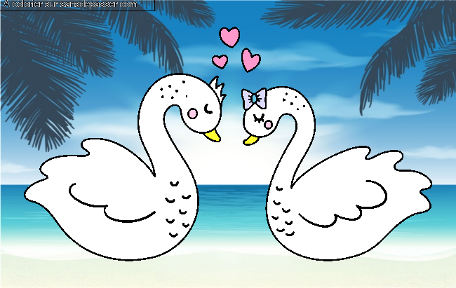 Cygnes Amoureux par un invit&eacute;