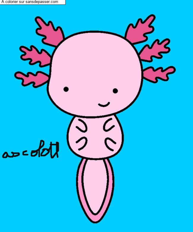 Axolotl par un invit&eacute;