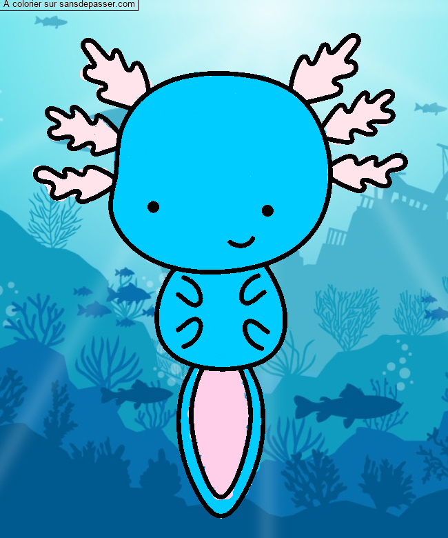 Axolotl par un invit&eacute;