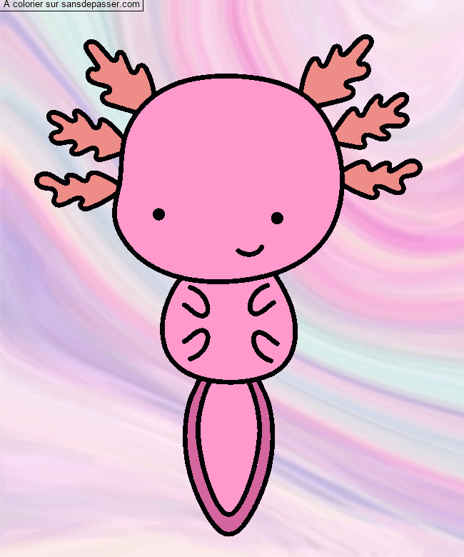 Coloriage Axolotl par un invité