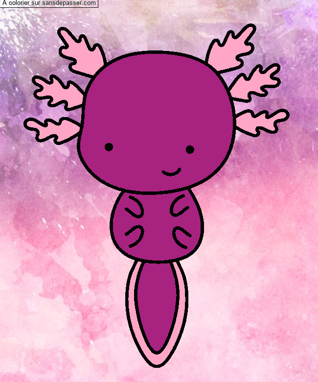 Coloriage Axolotl par un invité