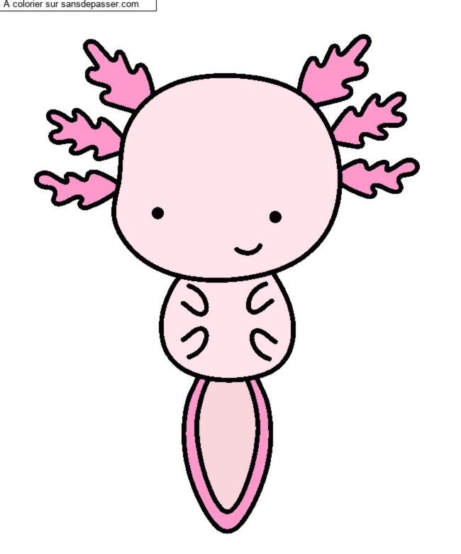 Axolotl par Nanas