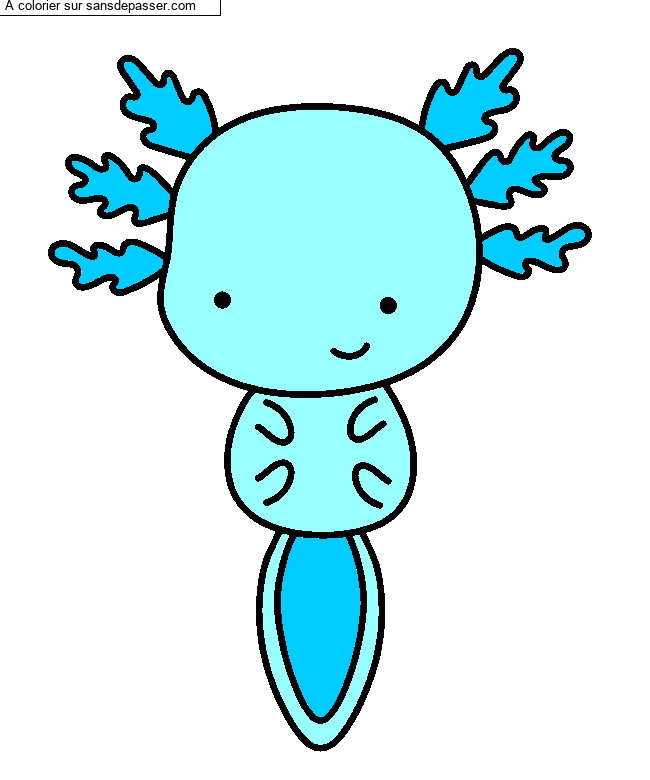 Axolotl par un invit&eacute;