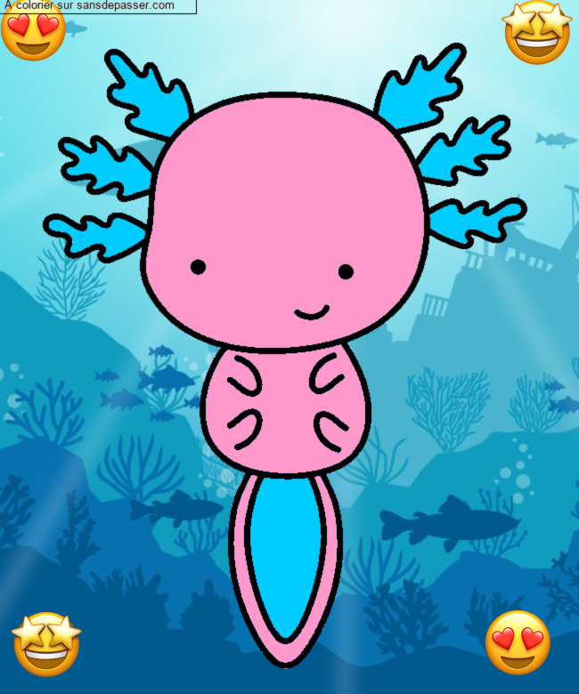 Axolotl par un invit&eacute;
