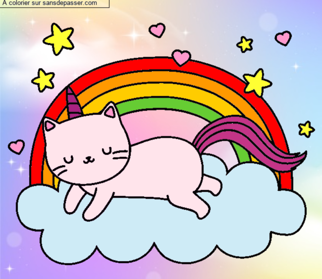Chat Licorne par un invit&eacute;