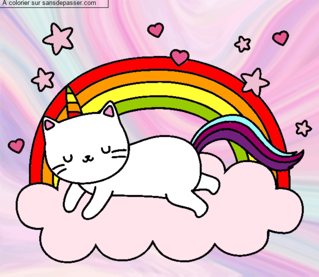 Chat Licorne par un invit&eacute;