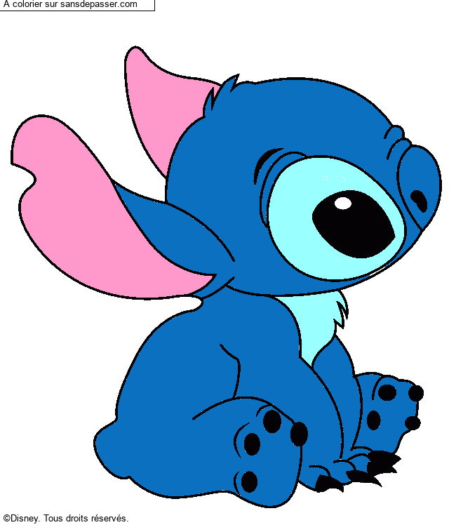 Stitch assis par many